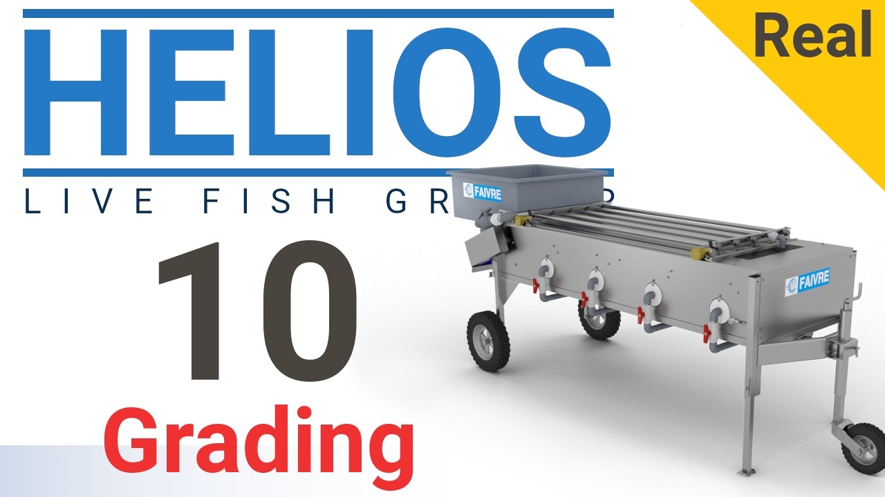 Trieur à poissons / Fish grader Helios 10 - faivre.fr