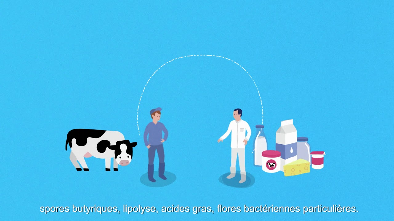 L analyse De La Qualit Du Lait En Laboratoire Interprofessionnel YouTube L analyse de la qualit du lait en laboratoire interprofessionnel youtube
