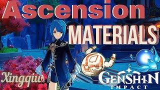 Xingqiu Ascension Materials-Silk Flowers