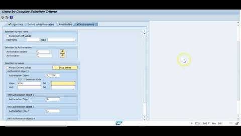 SAP Cyber Security Sensitive Access