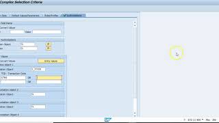 SAP Cyber Security Sensitive Access