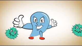 מצגת אנימציה למרפאת שיניים של דר פרי פרונט דגזהב אנימציה