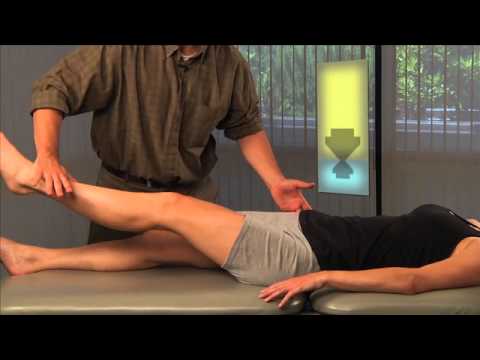 clinically-applied-anatomy-and-kinesiology-video:-terry-pratt-|-medbridge