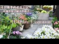【ガーデニング】４月後半の花壇や寄植えの様子🌼【花パトロール】
