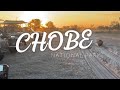 Botswana Safari: Chobe National Park (5/6)