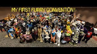 Your First Furry Convention