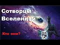 Вся правда о Сотворцах Вселенной. КТО ОНИ?