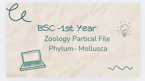 Zoology - Phylum-Mollusca. BSC-1 st year zoology practical file with classification