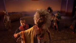 The Lion King Simba And Nala