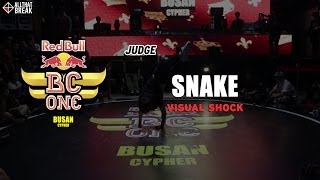 SNAKE (Visual Shock) / Judge Show / Red Bull BC One Busan Cypher 2014 / allthatbreak.com