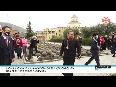 სამების საპატრიარქო ტაძრის ეზოში საკურას ხეების დარგვის ცერემონია გაიმართა