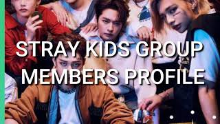 KPOP GROUP STRAY KIDS -FAST GUIDE (PROFILE)