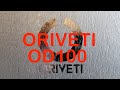 ORIVETI OD100