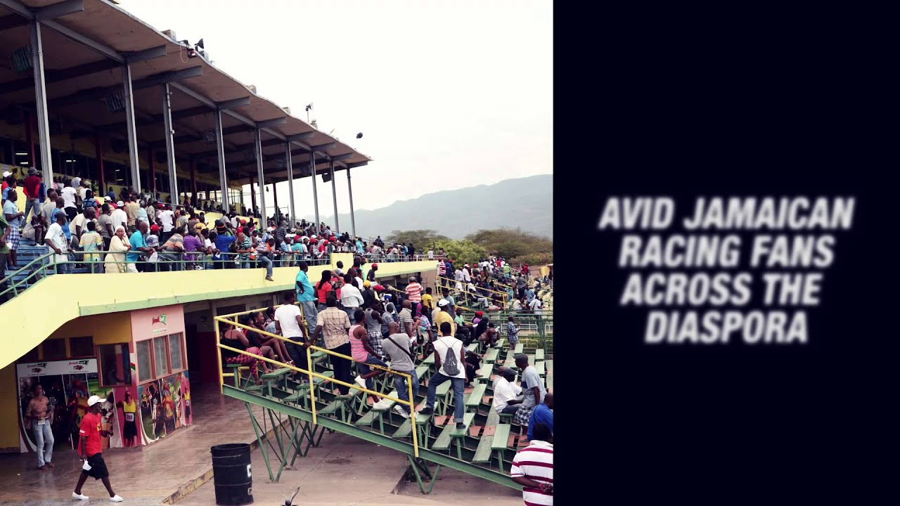 Delaware Park Live Racing Today Results Youtube