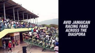 Caymanas Track limited Divestment Promo