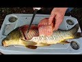 Catch and Cook Carp - How to cook carp -  carp fishing tips & carp recipe.