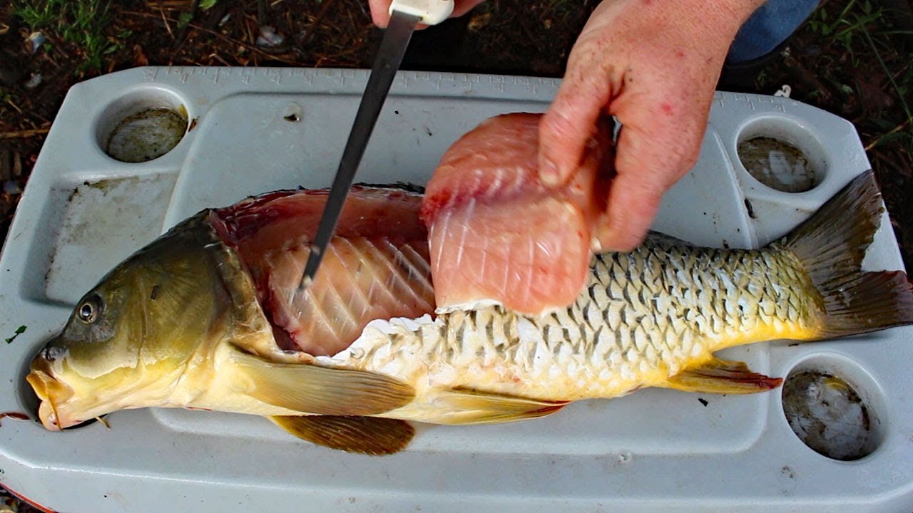 Catch and Cook Carp - How to cook carp - carp fishing tips & carp recipe. 