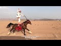 Best Horse Rider Aamazing Arab Horse Riding