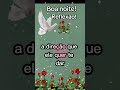 Mensagem Boanoitte Reflexão