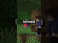 Taking Over a 24 Hour YouTuber SMP Event