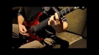 Cloudkicker - Viceroy (guitar cover)