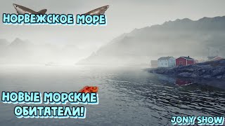 РР4 • Норвежское море • Трофеи и новые морские обитатели .