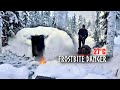 27 surviving the arctic night with no tent winter camping in a snow shelter