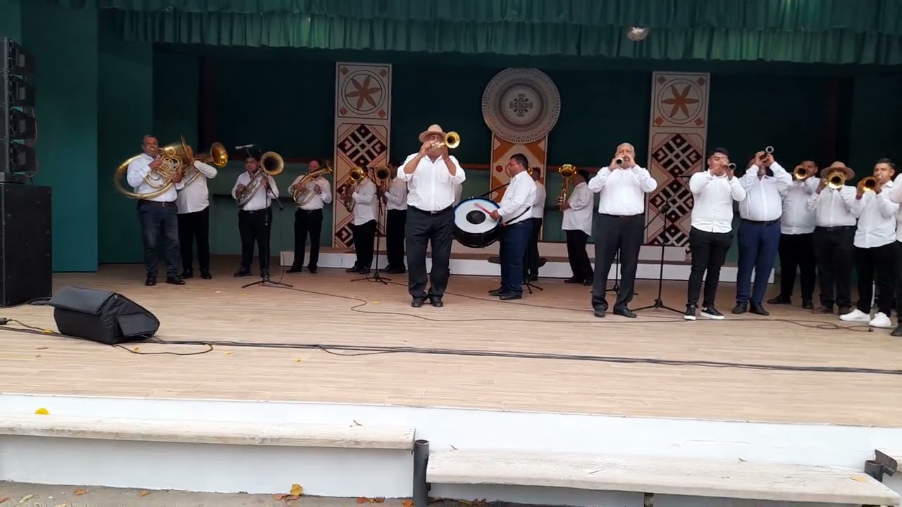 Fanfara de la Valea Mare condusă de Costel Alexandru la Pădureni Colaj sârbe