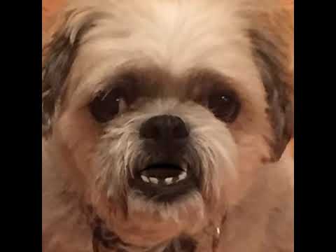Delilah update June 19, 2020