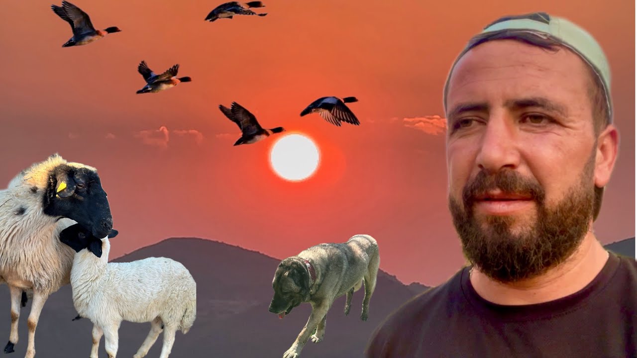 АНАТОЛИЙСКИЙ НАРОД / ЖИЗНЬ НА ВЕРШИНЕ ГОР / ПЕРЕСЕЛЕНИЕ С ГОРЫ НА ГОРУ / ВРАТА СЧАСТЬЯ