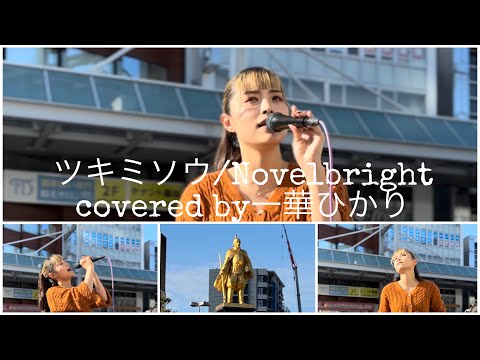 ツキミソウ/ Novelbright covered by一華ひかり@ichikahikari