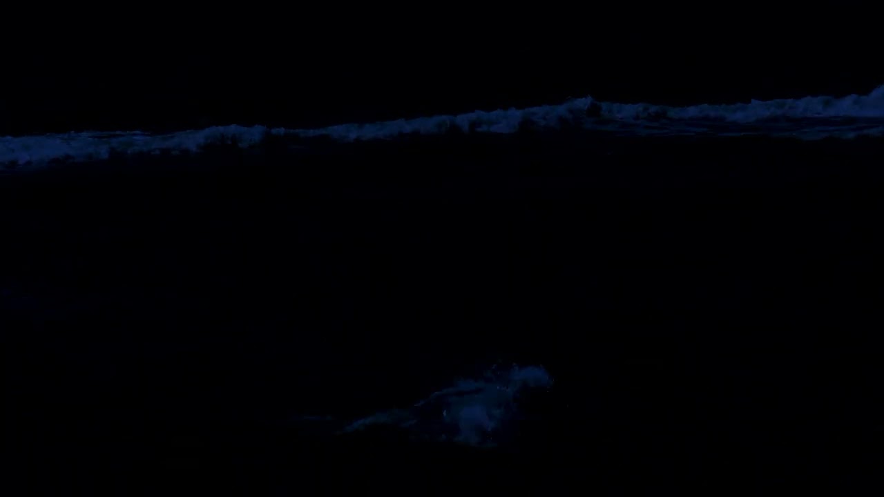 Quiet Night Sea Ambience | Rolling Ocean Waves to Unwind Thoughts and Sleep Peacefully