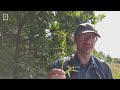 Растения Валуевского лесопарка. Часть 1