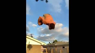 Download Lagu WAT WTF MP3