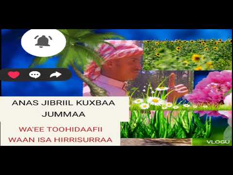 TOOHIDA FI WAN ISA DIIGURRAA KUXBAA JUMMAA ANAS JIBRIIL DHAGEFADHAA SHARE GODHAA 