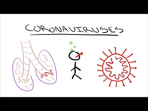 Video: Hur Man Sätter Karantän På Ett Virus