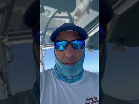 Lobster Charter
