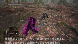 ダークソウル3対人解説 300人斬りが侵入 対人の戦法 コツ 強武器 防具などを解説します 猫兎ライフ ダークソウル3対人解説 300人斬りが侵入 対人の戦法 コツ 強武器 防具などを解説します 猫兎ライフ