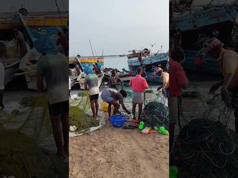 pamban fishing harbour #shorts