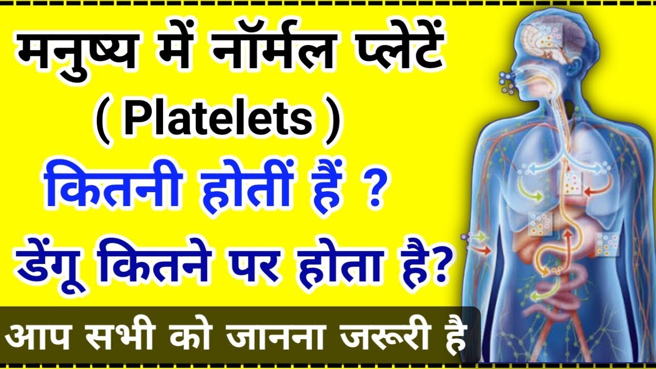मनुष्य के शरीर में कितनी प्लेट्स होती हैं Manushya Ke Sharir Me