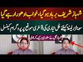 شہبازشریف برباد ہوگیا، خواب ادھورا رہے گیا، سویٹزرلینڈ  کیلئے فل تیاری آخری موقع پر پروگرام کینسل۔