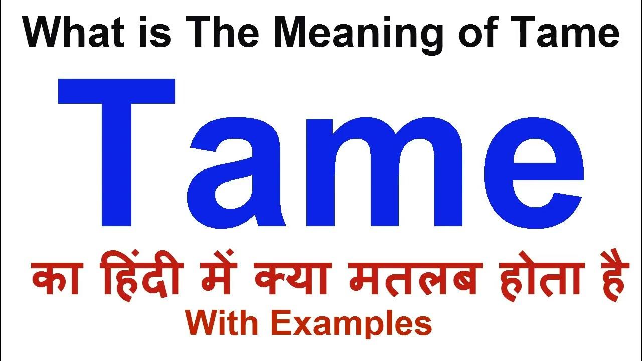 Tame Meaning In Hindi Tame Definition Tame Ka Matlab Kya Hota Hai tame-meaning-in-hindi-tame-definition-tame-ka-matlab-kya-hota-hai