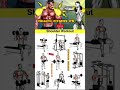 Shoulder workout at gym | shoulder exercise | shoulder exercise at home #gym #shorts #short #fitness
