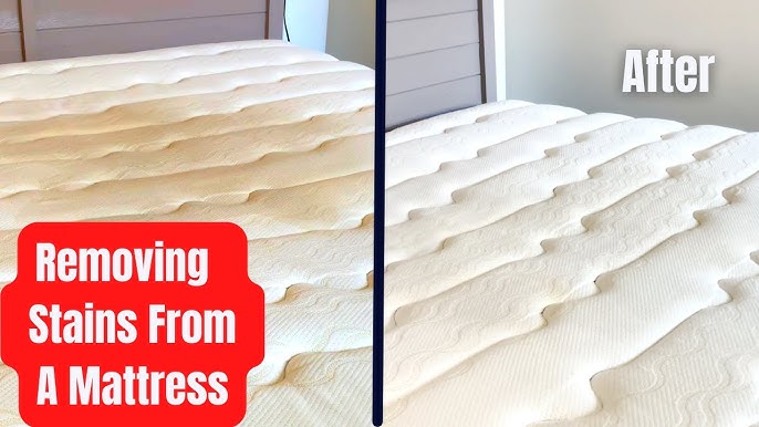Deep clean and deodorize the whole mattress