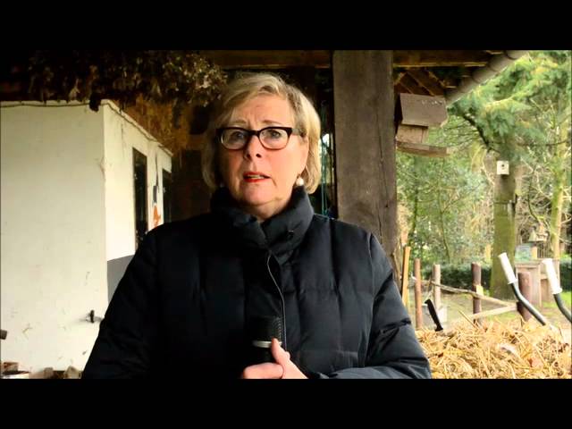 Testimonial Communiceren met Dieren Mariëtte