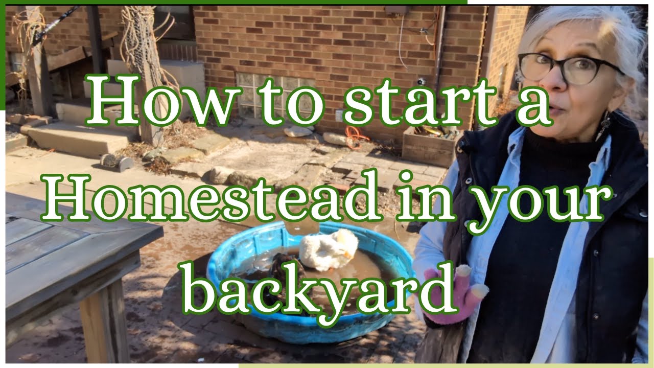 How to Start a Homestead in your Backyard - YouTube