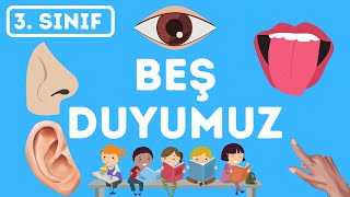 3. Sınıf Fen Bilimleri Beş Duyumuz