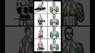 forearms workout Bigger Grip Strength 💪 #shorts #gym #viral