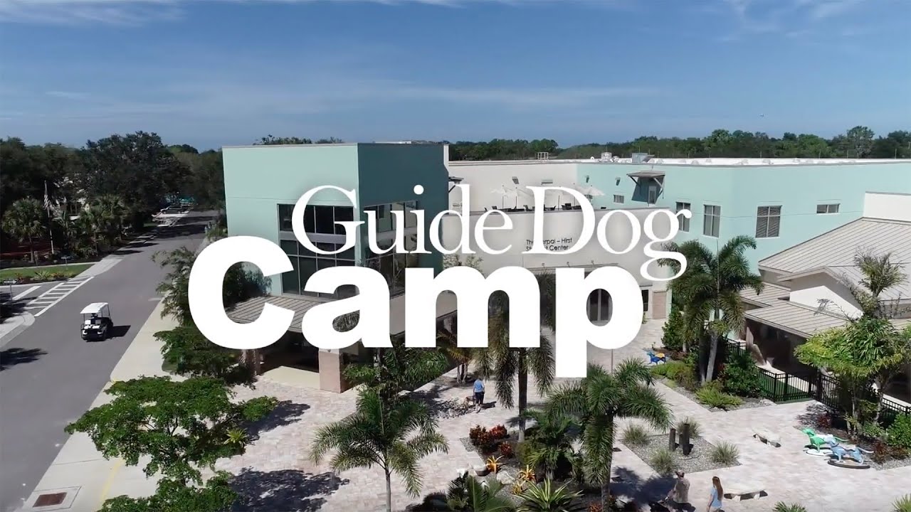 Guide Dog Camp YouTube