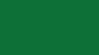 Random Color #0c6e35